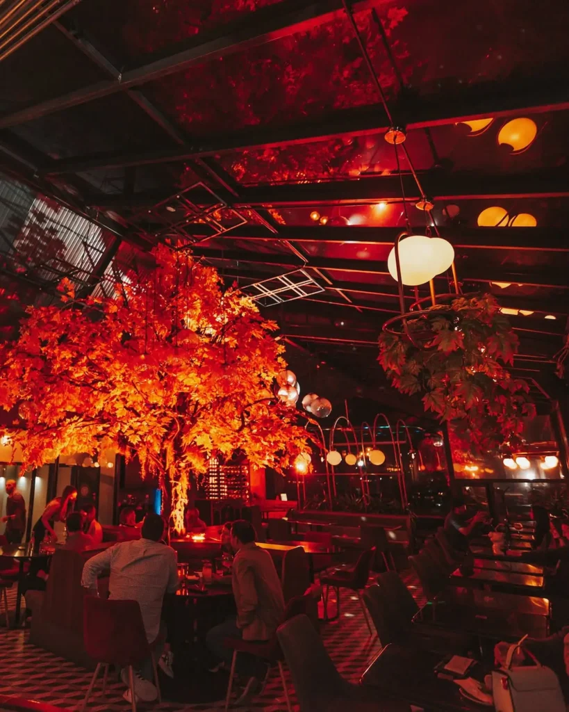 Interior de Zona T de Bogotá con árboles decorativos y luces cálidas