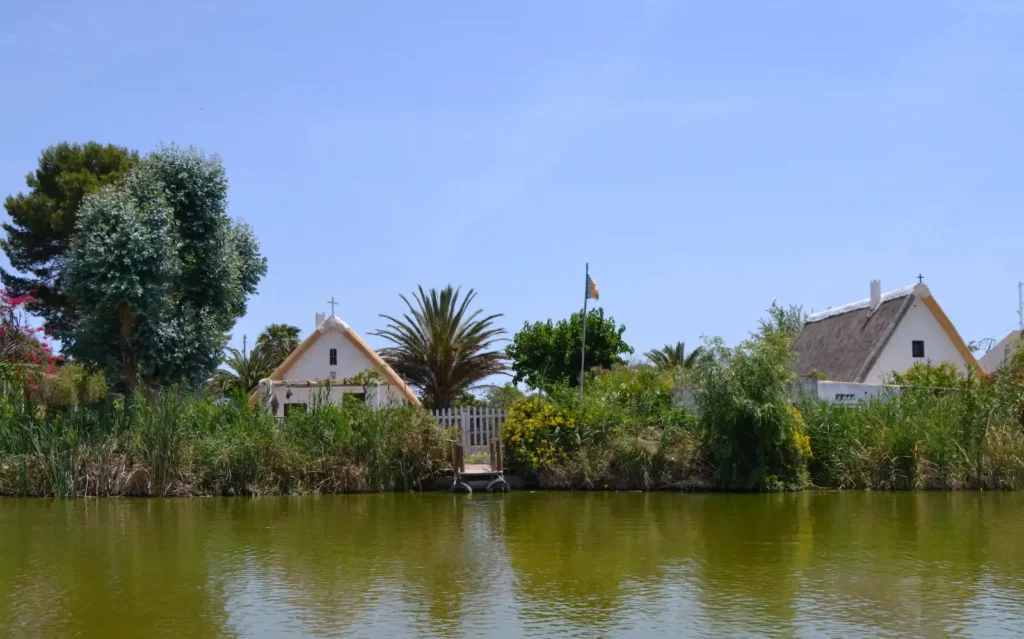 Vista de la Albufera y El Palmar desde un lago, con casas y vegetación alrededor.