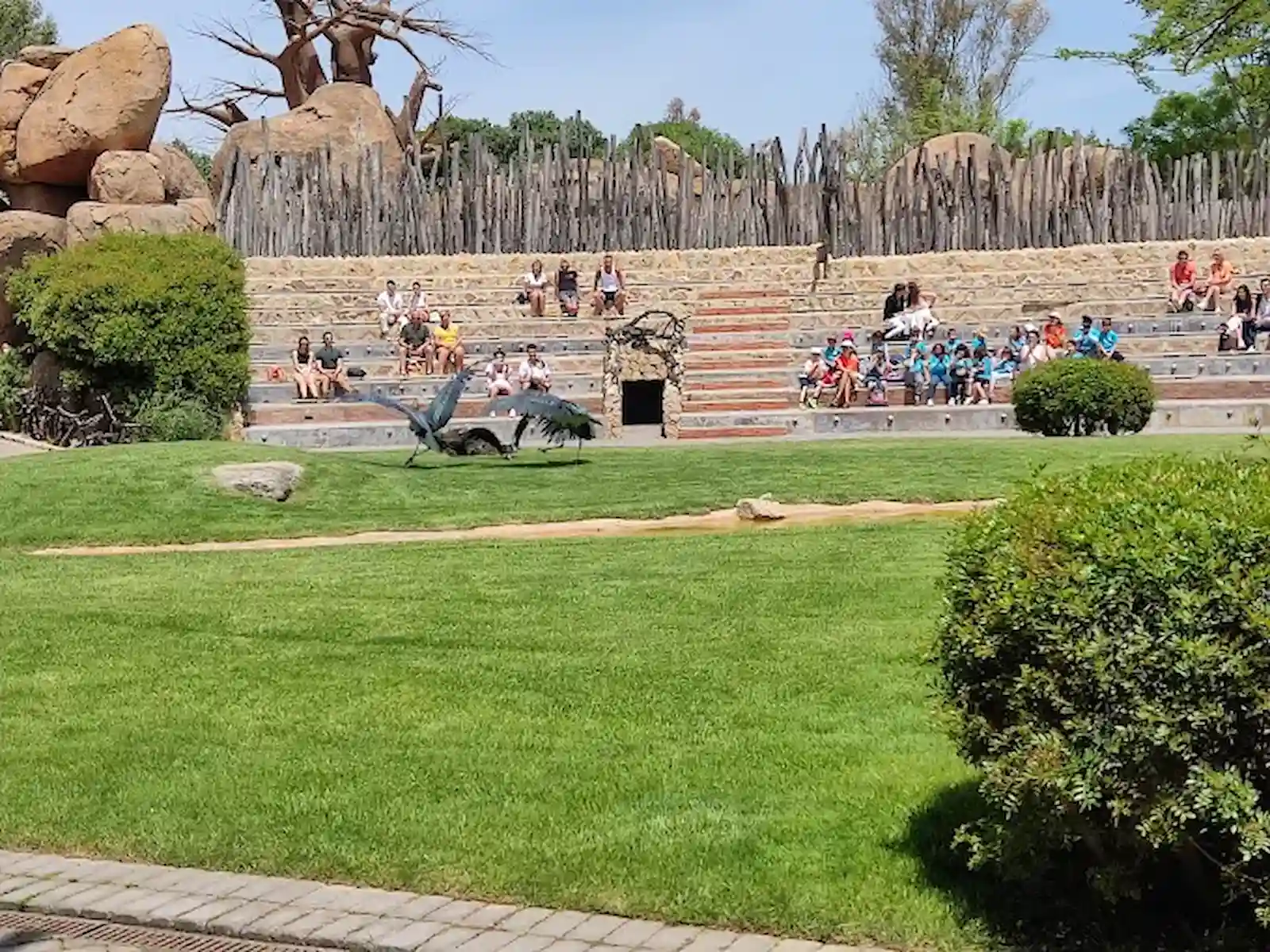 Bioparc Valencia