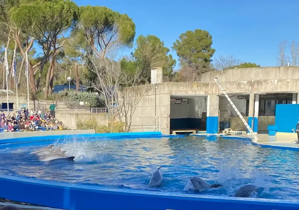 Zoo Aquarium Madrid