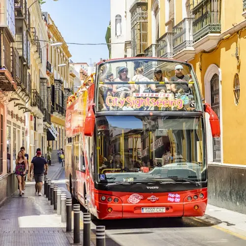 CitySightseeting, una excursión única
