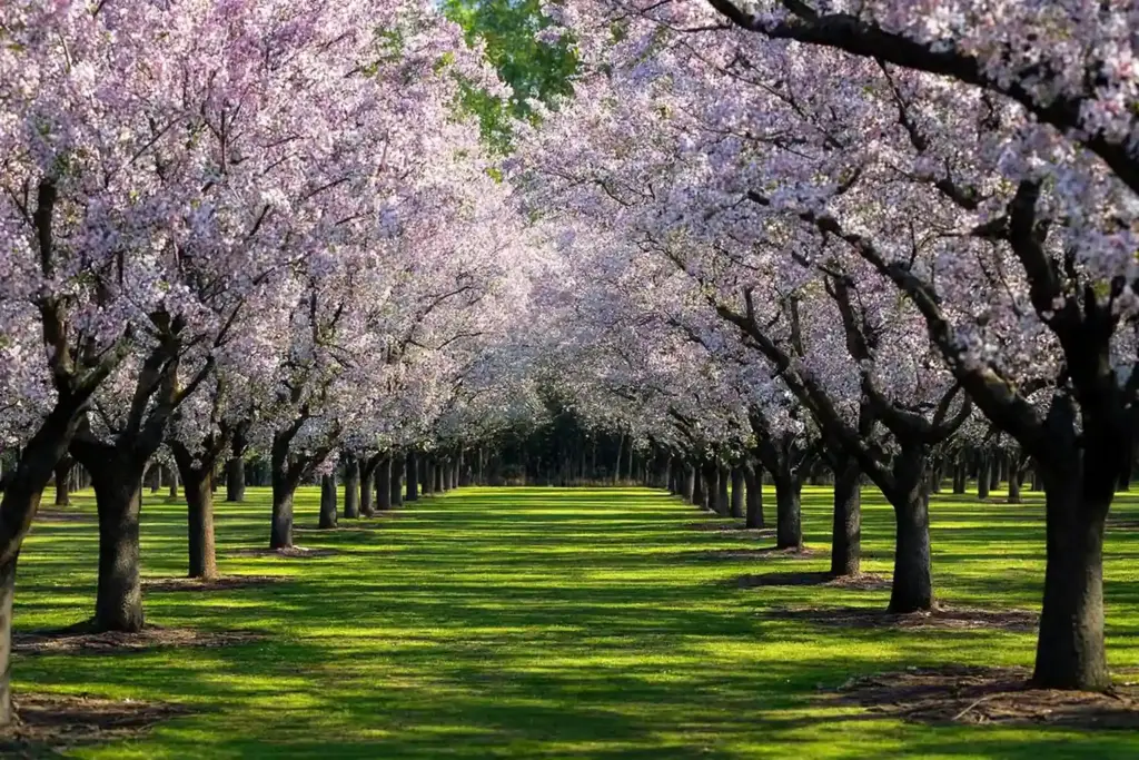 Planes por temporada