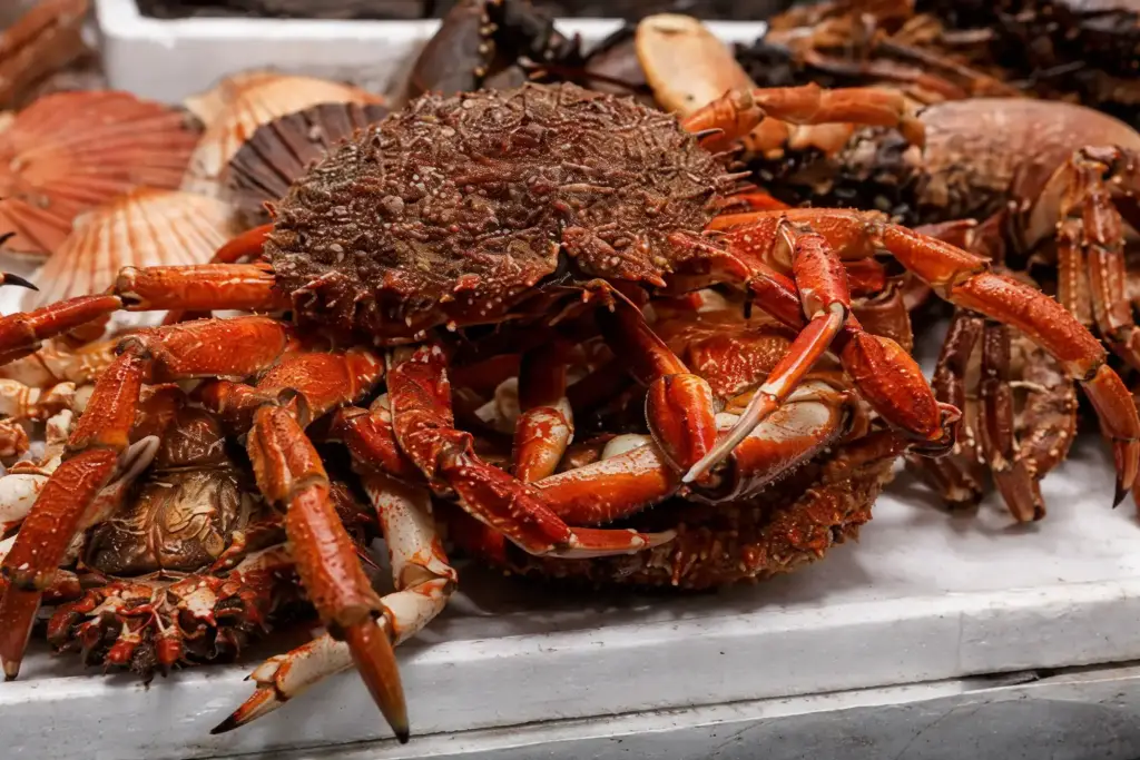 Dónde comer marisco en Vigo: de la lonja a tu mesa
