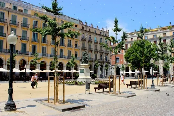 Árbol en el Parque de la Devesa, Girona