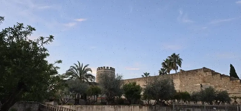 Real Escuela Andaluza del Arte Ecuestre