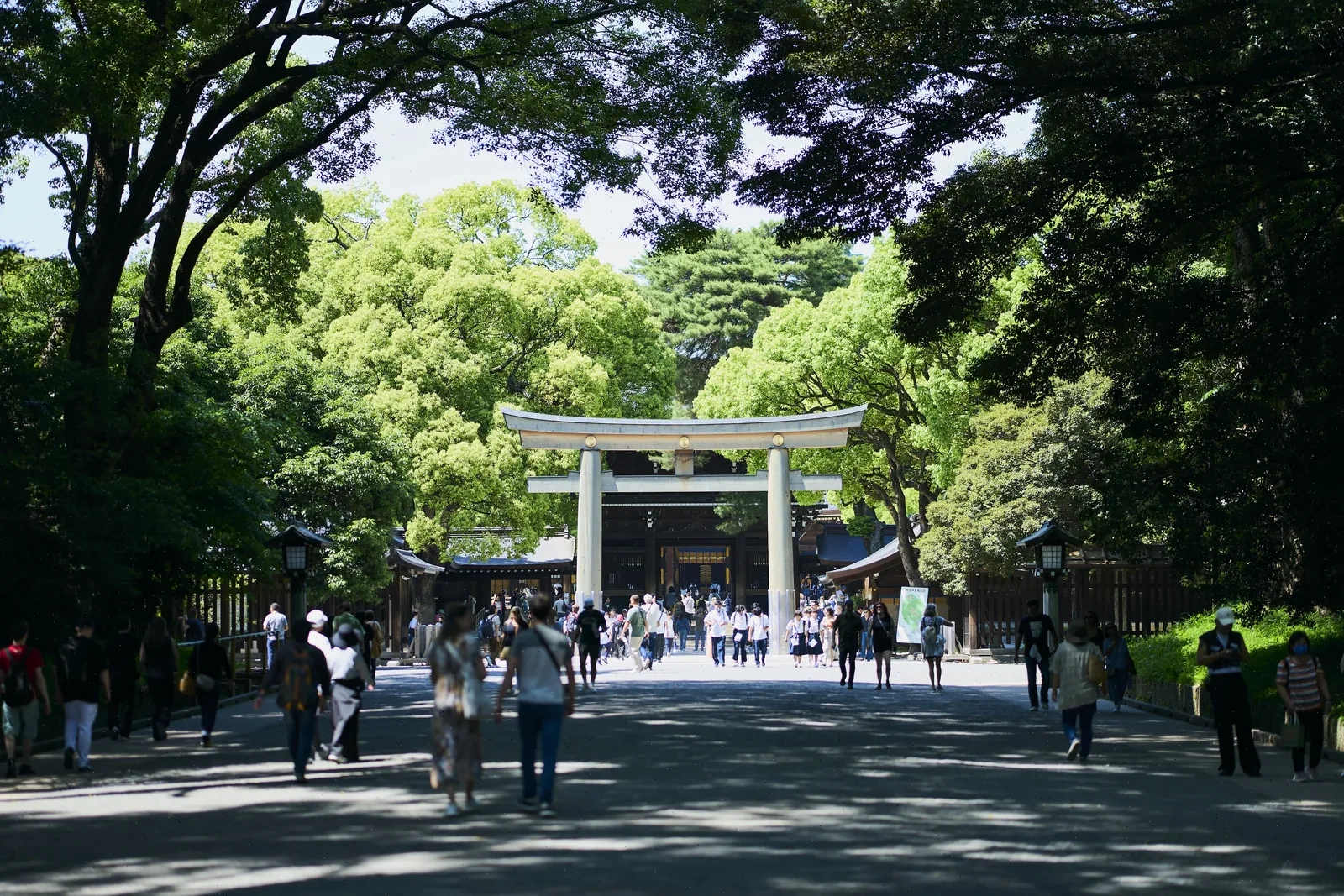 Arco torii en Meiji Jingu, Tokio