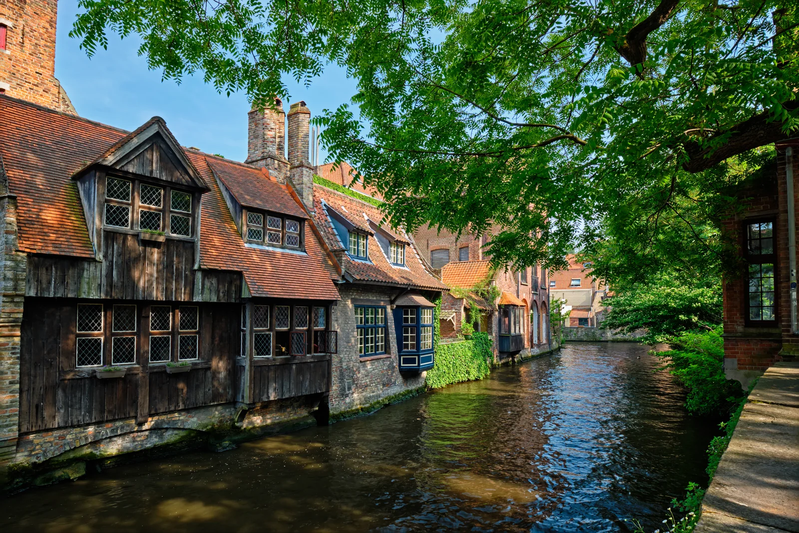Canal lined with old brick houses in Bruges