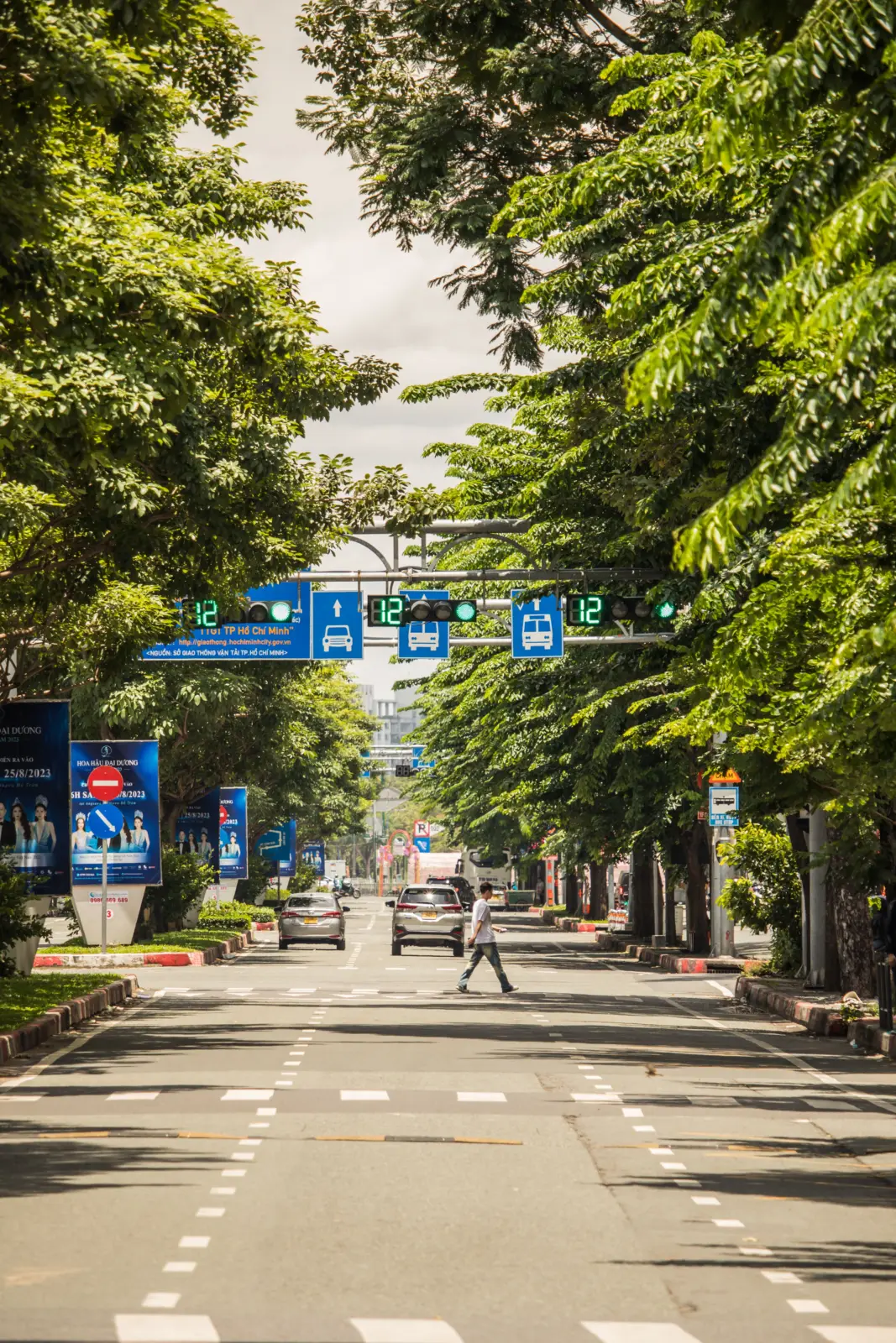 Avenida arbolada de Ciudad Ho Chi Minh con un peatón, coches y señales de transporte
