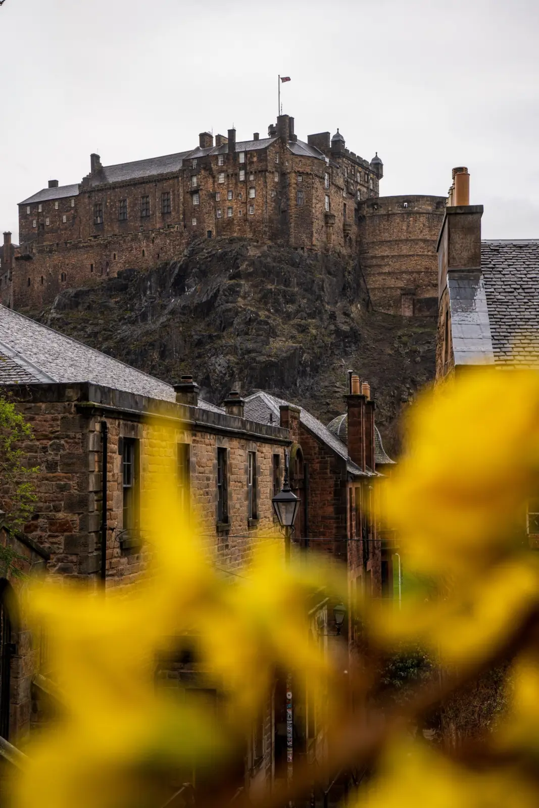 Edinburgh Castle above stone buildings and yellow flowers in Edinburgh