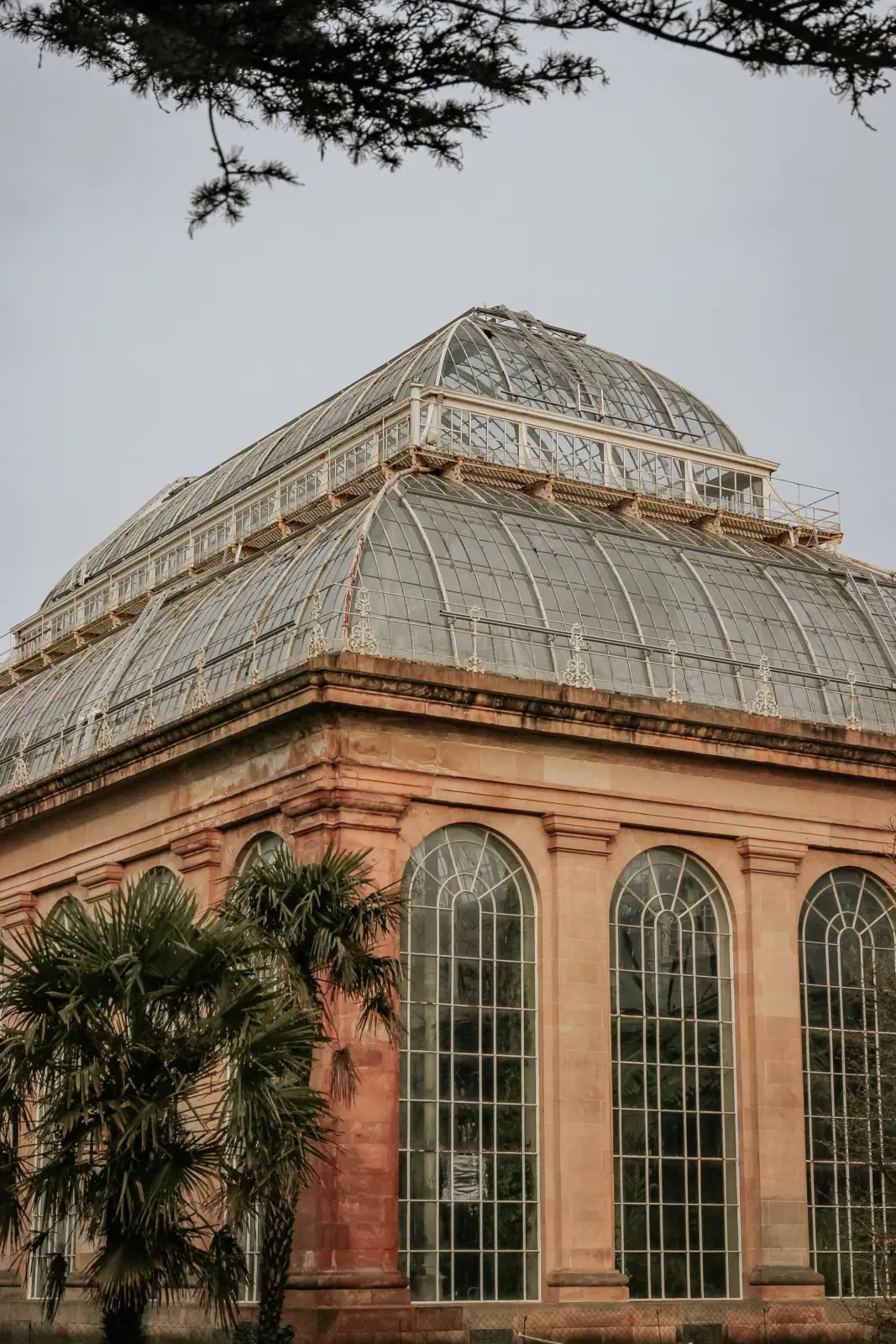 Victorian glasshouse at the Royal Botanic Garden Edinburgh