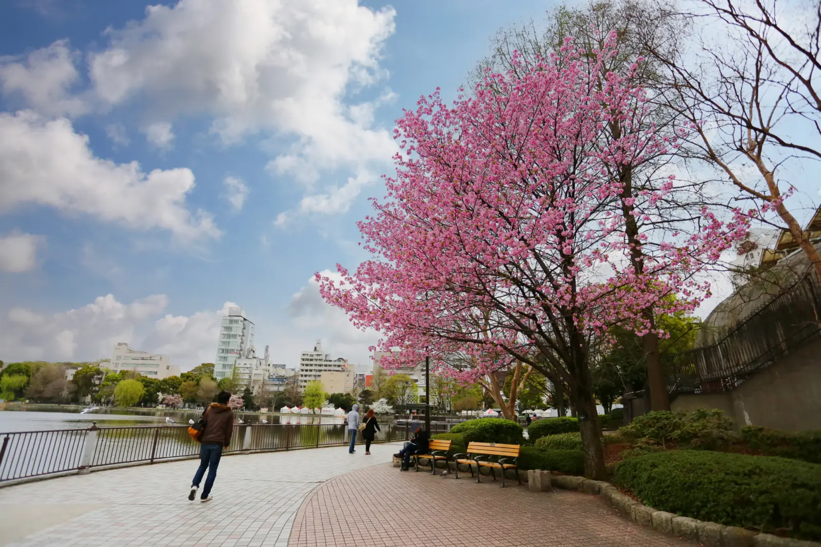 Ueno Park