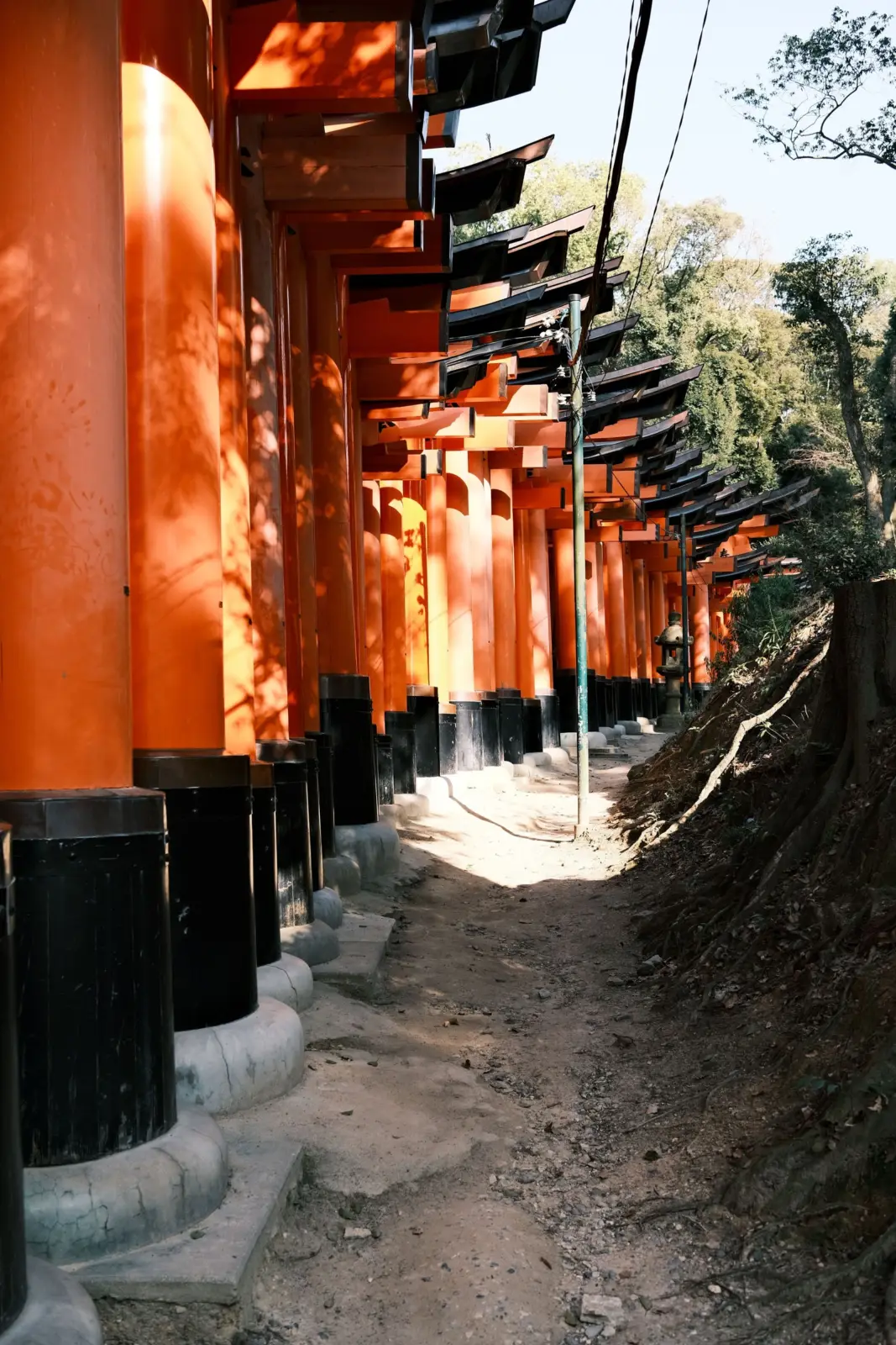 Sendero de torii bermellón de Fushimi Inari Taisha en Kioto