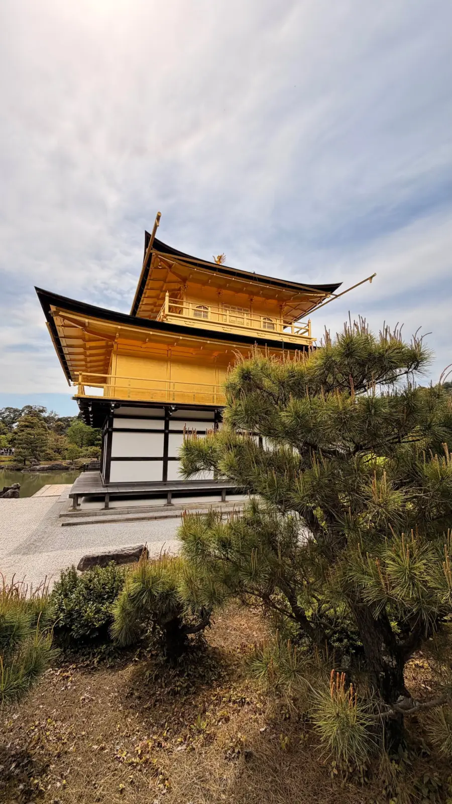Kinkaku-ji, el Pabellón Dorado, entre pinos en Kioto