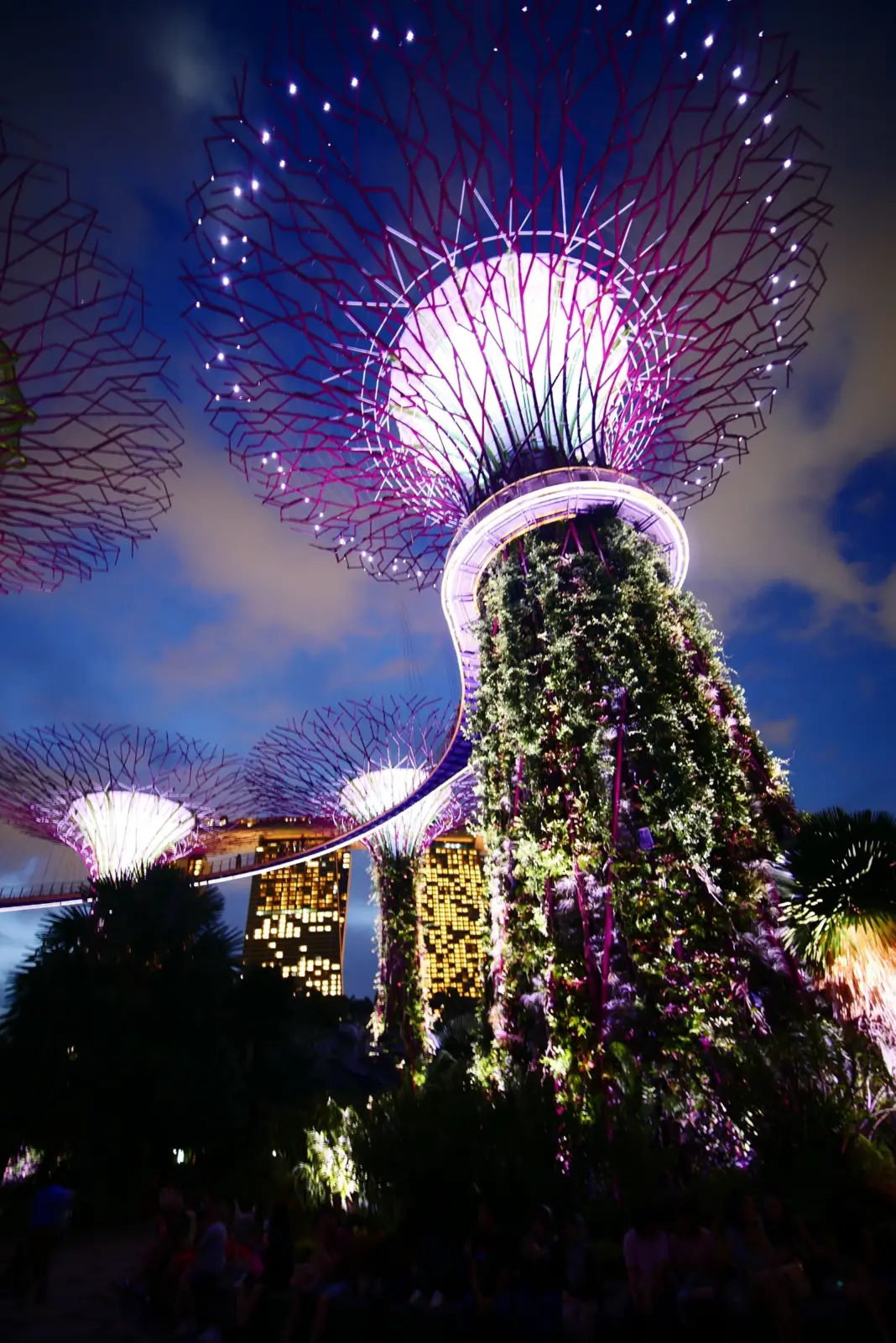 Supertrees iluminados de Gardens by the Bay por la noche en Singapur