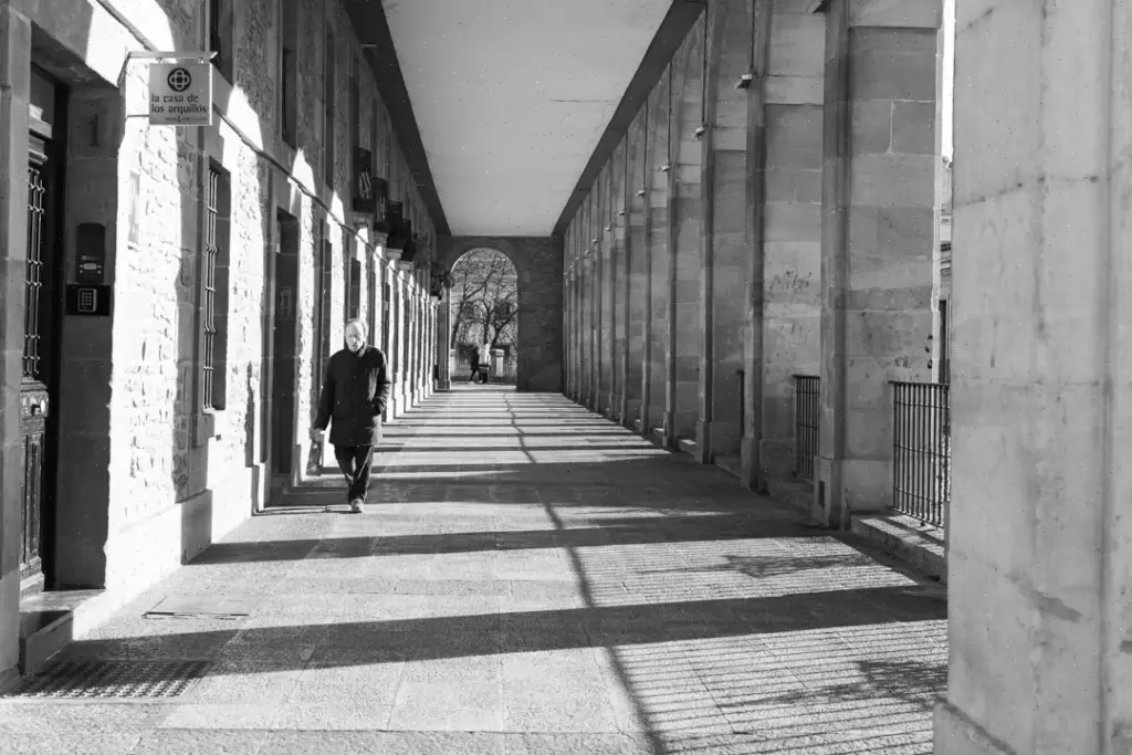 Best free tours in Vitoria-Gasteiz