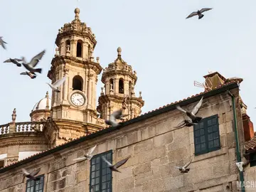 🥇Free tour Pontevedra Imprescindible