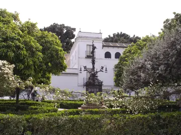 🥇 Free Tour por el Barrio de Santa Cruz ⭐⭐⭐⭐⭐