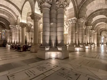 Con un Gato 🐱 conocerás mas MADRID, "inolvidable"