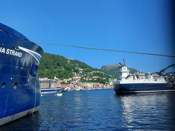 Auténtico free tour por Bergen realizado por un noruego local