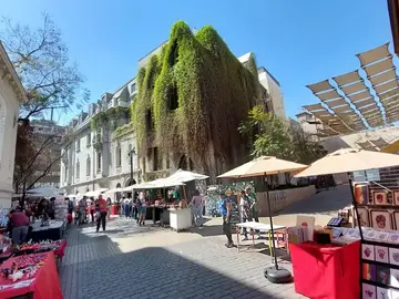 Mejor con un profesor: Historia, cultura y recomendaciones de un local