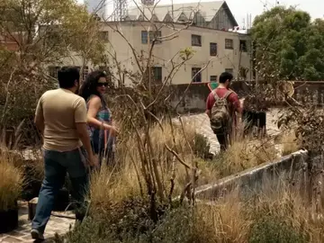 La verdadera Ciudad de México: Visitando un barrio no turístico