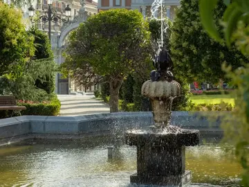 free tour por los árboles singulares del Retiro