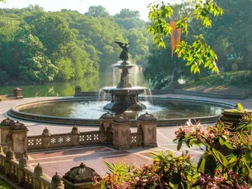 🌿Connect with Central Park's Soul🌲 - Dive into an Exclusive Nature Tour!