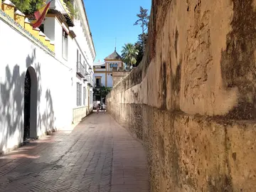 Free Tour: Barrio of Santa Cruz, the Old Jewish Quarter