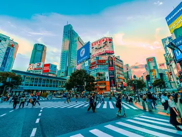 Explore Shibuya, Harajuku and Meiji shrine