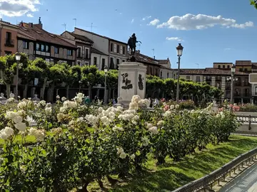 🦢✒️Free tour Imprescindible casco histórico de Alcalá de Henares