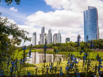 Un Oasis Natural en Buenos Aires: ¡Descubre Costanera Sur!