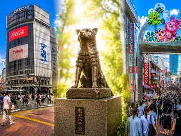 ⛩️ SHIBUYA + HARAJUKU ⛩️ De la modernidad a lo sagrado - Shibuya Cross, Nonbei Yokocho, Meiji Shrine, Takeshita Street, y MÁS.!