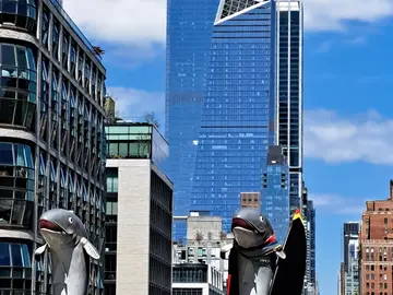 Quintessential High Line Walk with a Food Finish