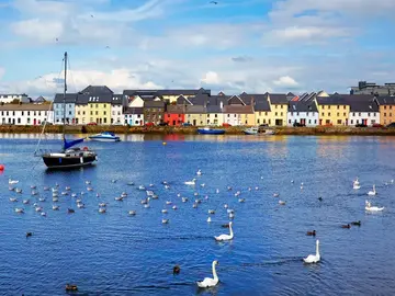 Free tour por el Barrio Latino de Galway