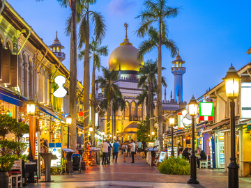 Un Vistazo a Singapur