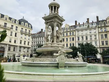 Lyon contrastable: historia y peculiaridades explicadas de forma dinámica.
