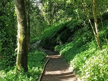 Secretos ocultos de Sintra: un paseo por la montaña de un local