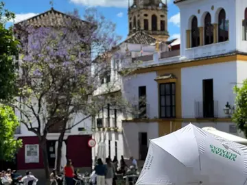 Free Tour Centro y Judería de Córdoba con guía local
