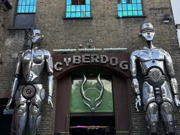 Camden Town and Primrose Hill: Between the streets, markets and pubs