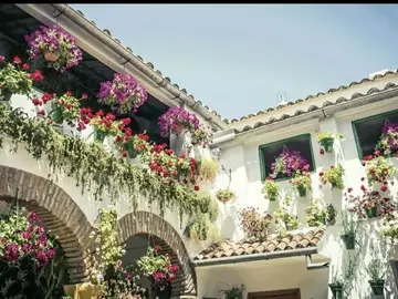 Free Tour Exclusivo por los Patios de San Basilio