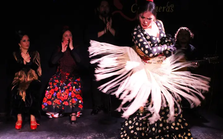 Madrid: Espectáculo Flamenco con Tapas y Ruta del Vino
