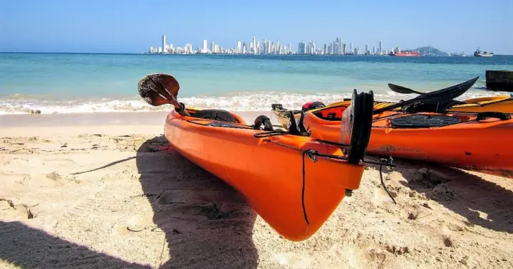 Excursion Punta Arena in Kayak