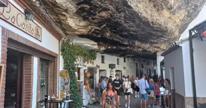 Ronda y Setenil de las Bodegas / Día completo semip privado