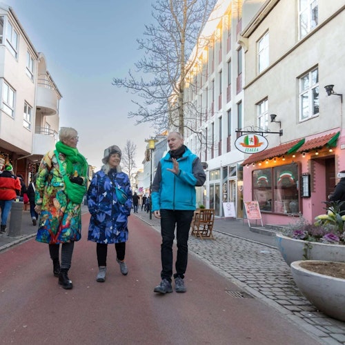 Reikiavik: Visita Privada a Pie