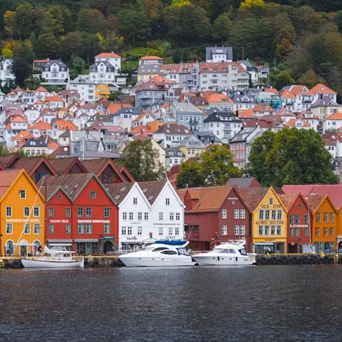 Visita de un día completo a Bergen: Crucero por el Fiordo, Visita de la Ciudad Histórica y Funicular de Fløien