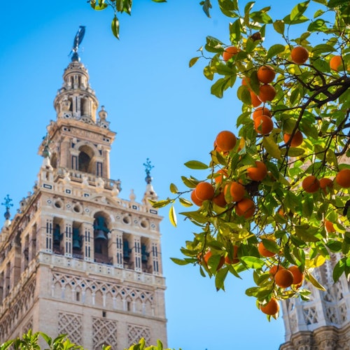 Reales Alcázares de Sevilla, Catedral y Giralda: Entrada + Visita Guiada