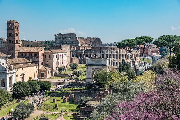 Tour privado del Coliseo con el Foro Romano y el monte Palatino
