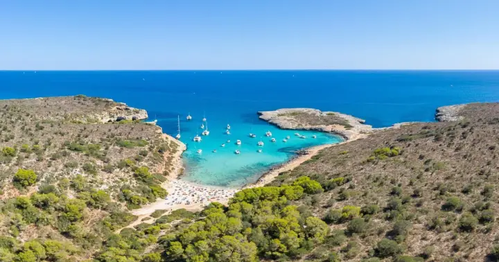 Mallorca: excursión en barco con fondo de cristal - Cuevas & Calas vírgenes