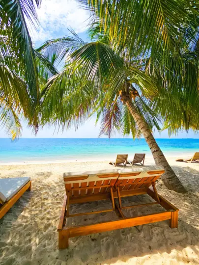 Cartagena: Day Trip to Barú Island, Baruch Wave Beach Club + Lunch + Snorkeling