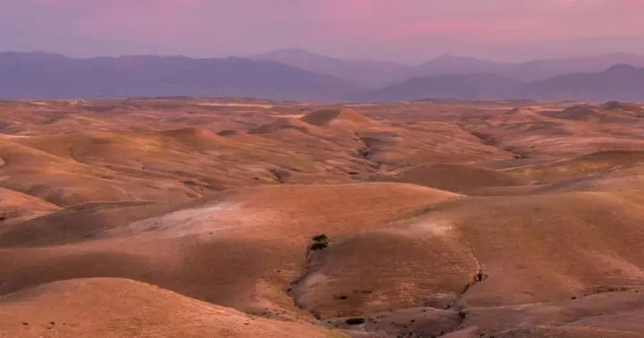 Dinner at Agafay Desert In Berber Camp with Sunset And Show